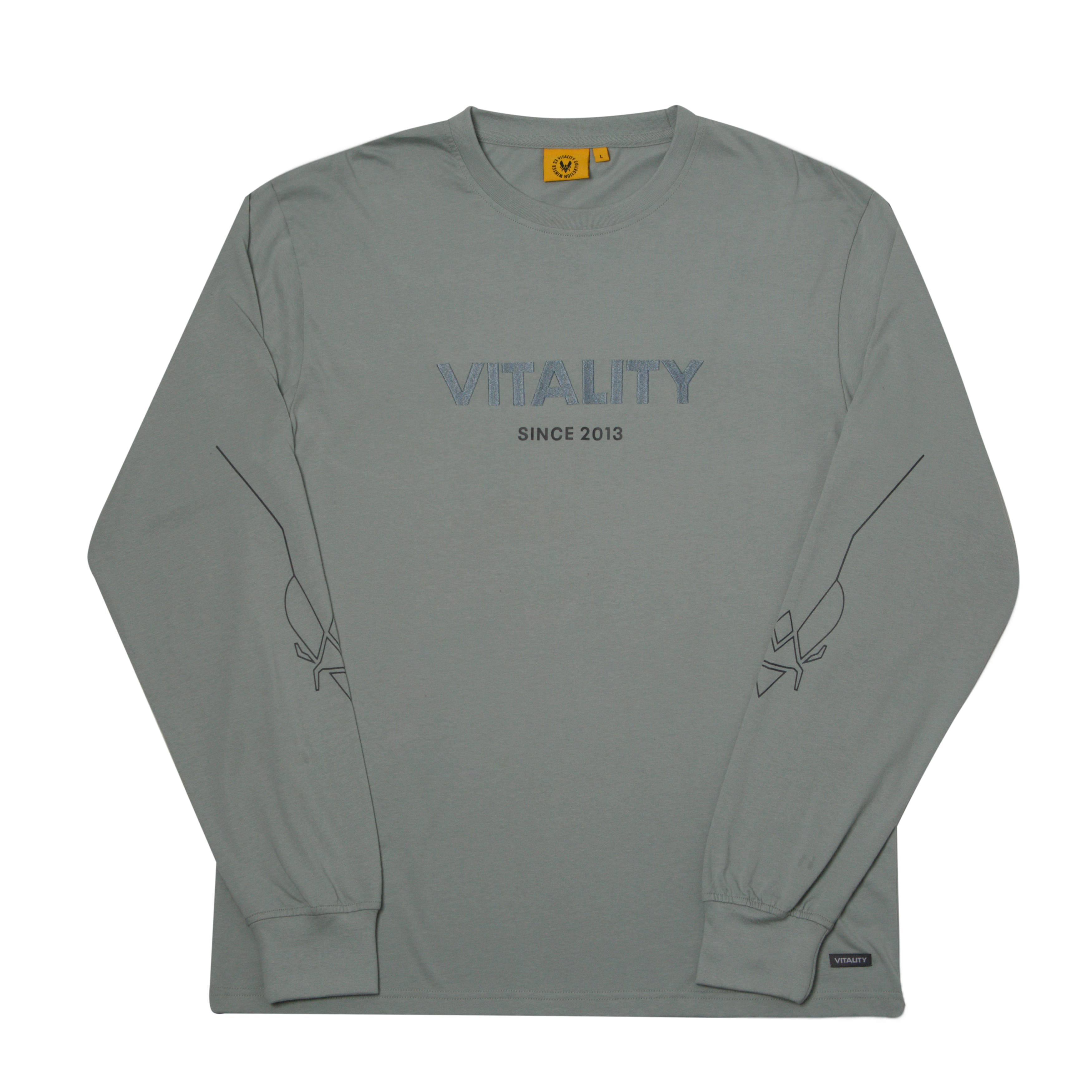 T-shirt à manches longues Energy gris clair Team Vitality