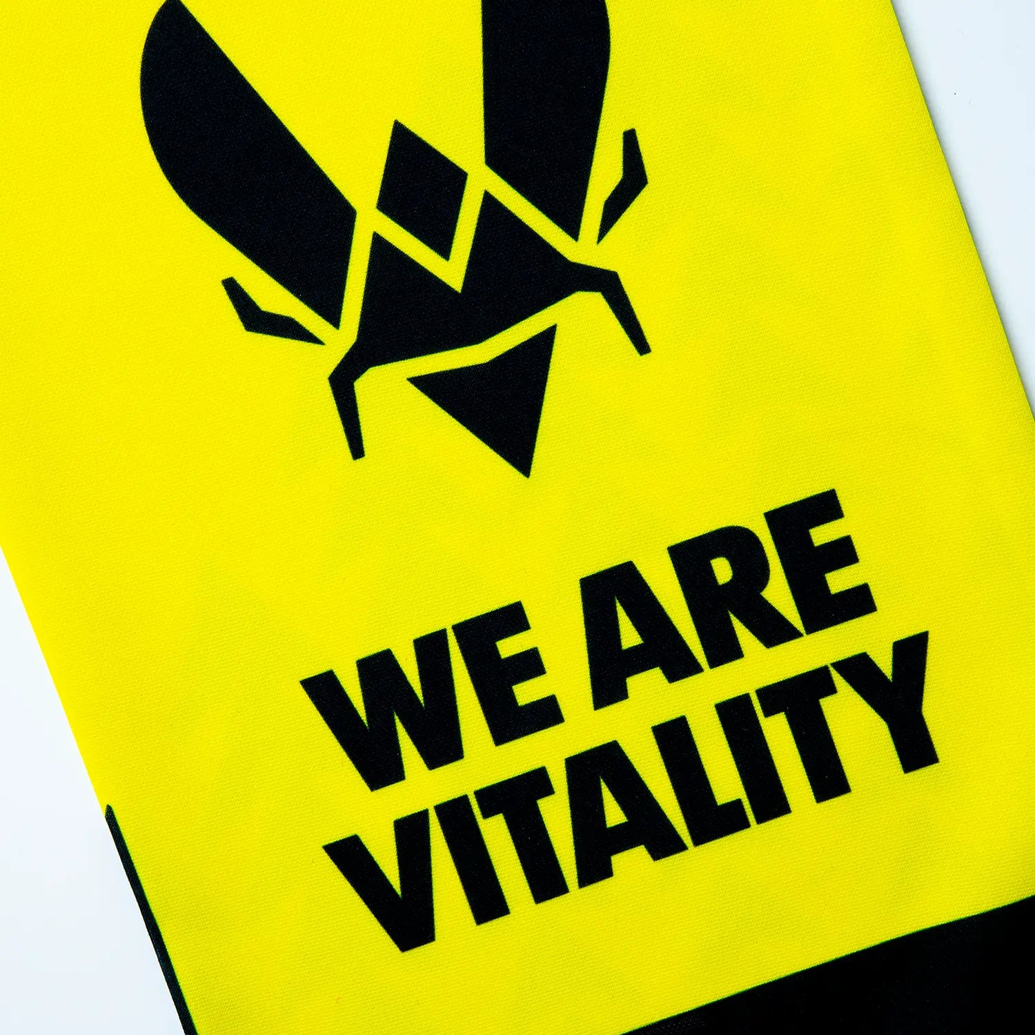 écharpe we are vitality fan pack 2024 zoom