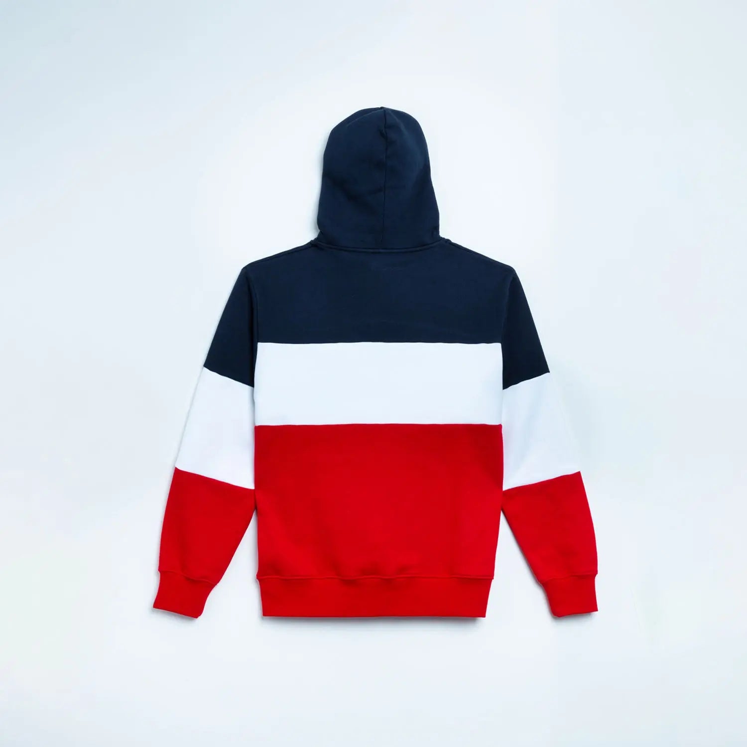 hoodie paris collection 2024 x team vitality dos