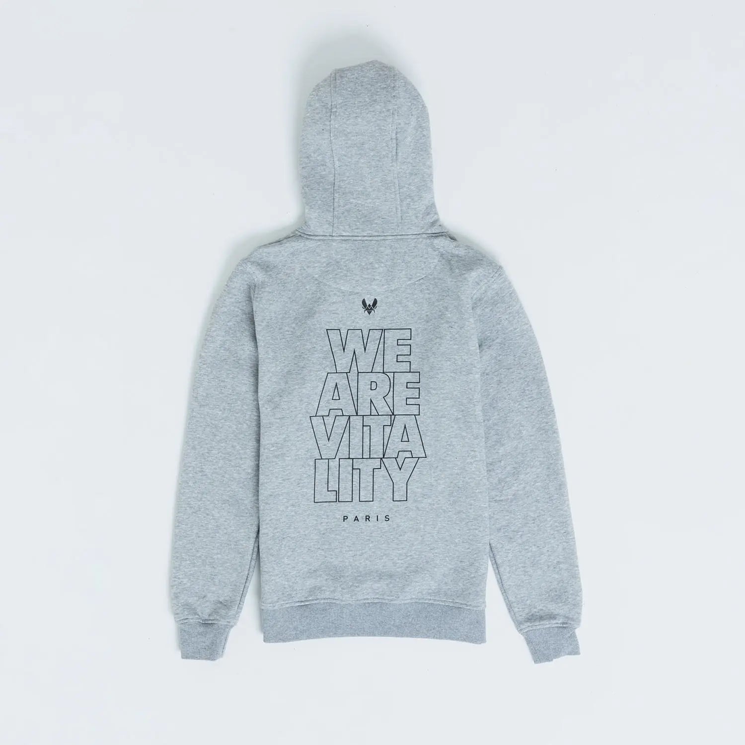 Hoodie Vitality Essentials 2024 gris vue de dos