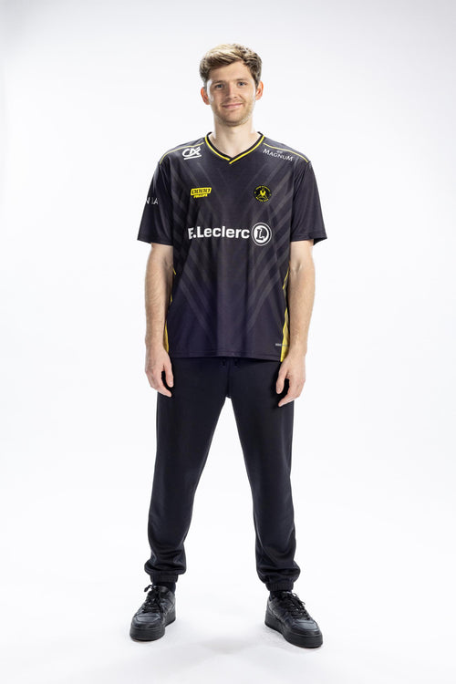 Erikson