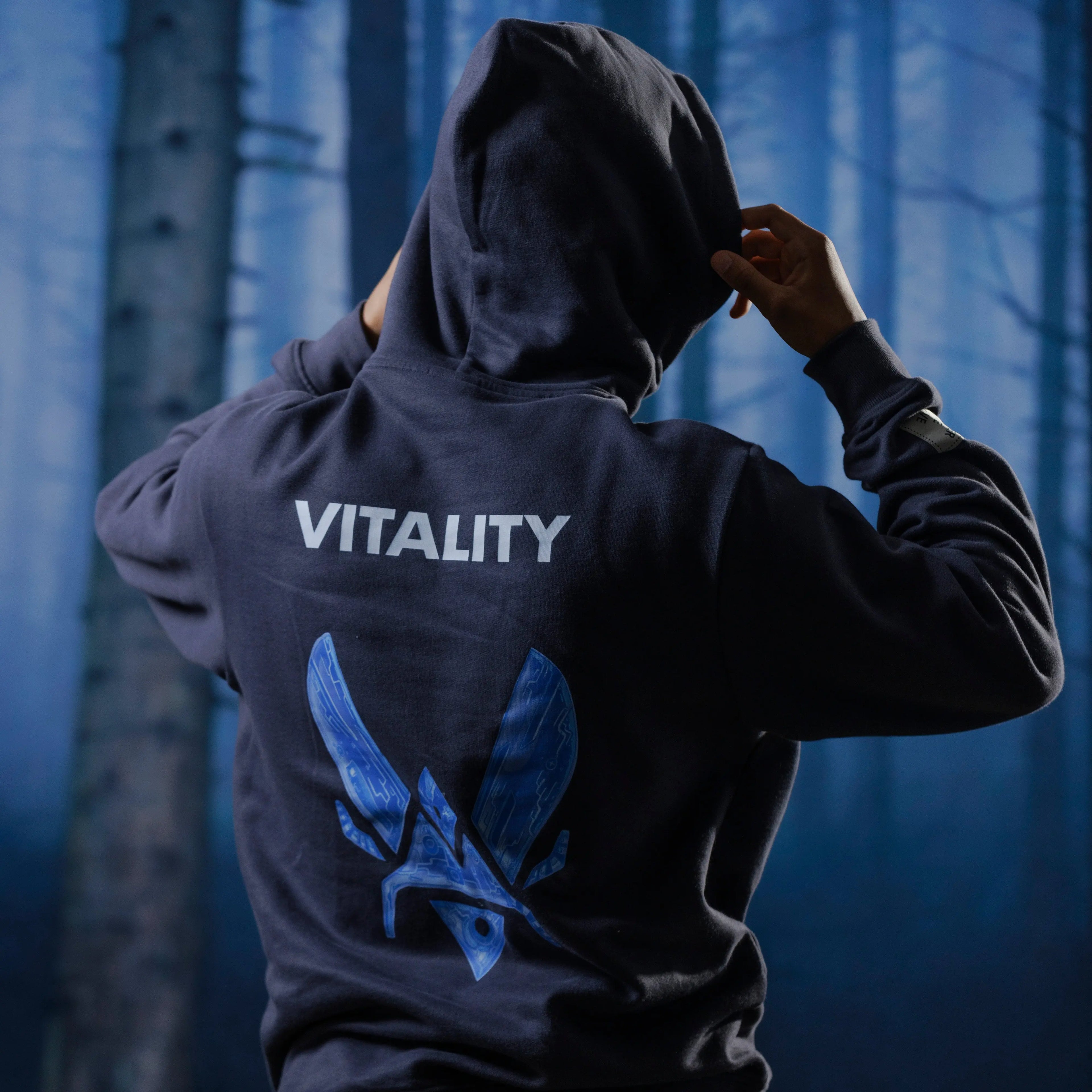 Hoodie Energy gris