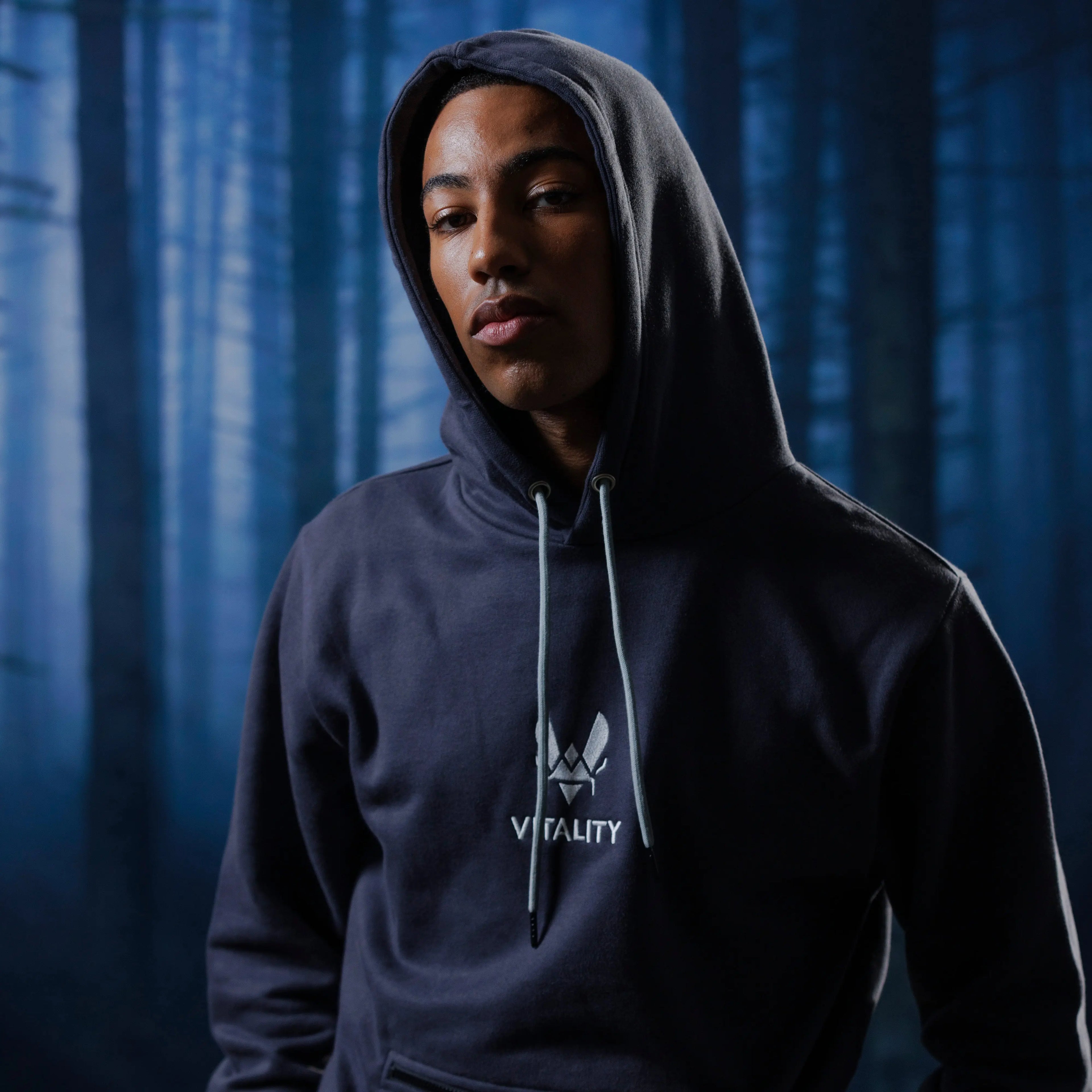 Hoodie Energy gris