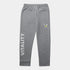 Jogging basic gris Team Vitality