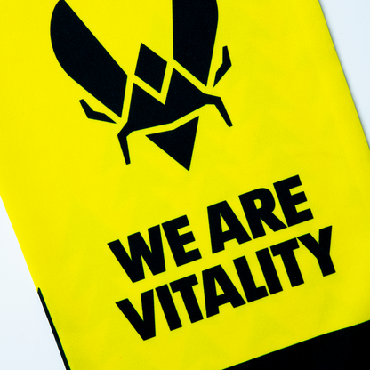 Echarpe Vitality Fan Pack 24 Team Vitality