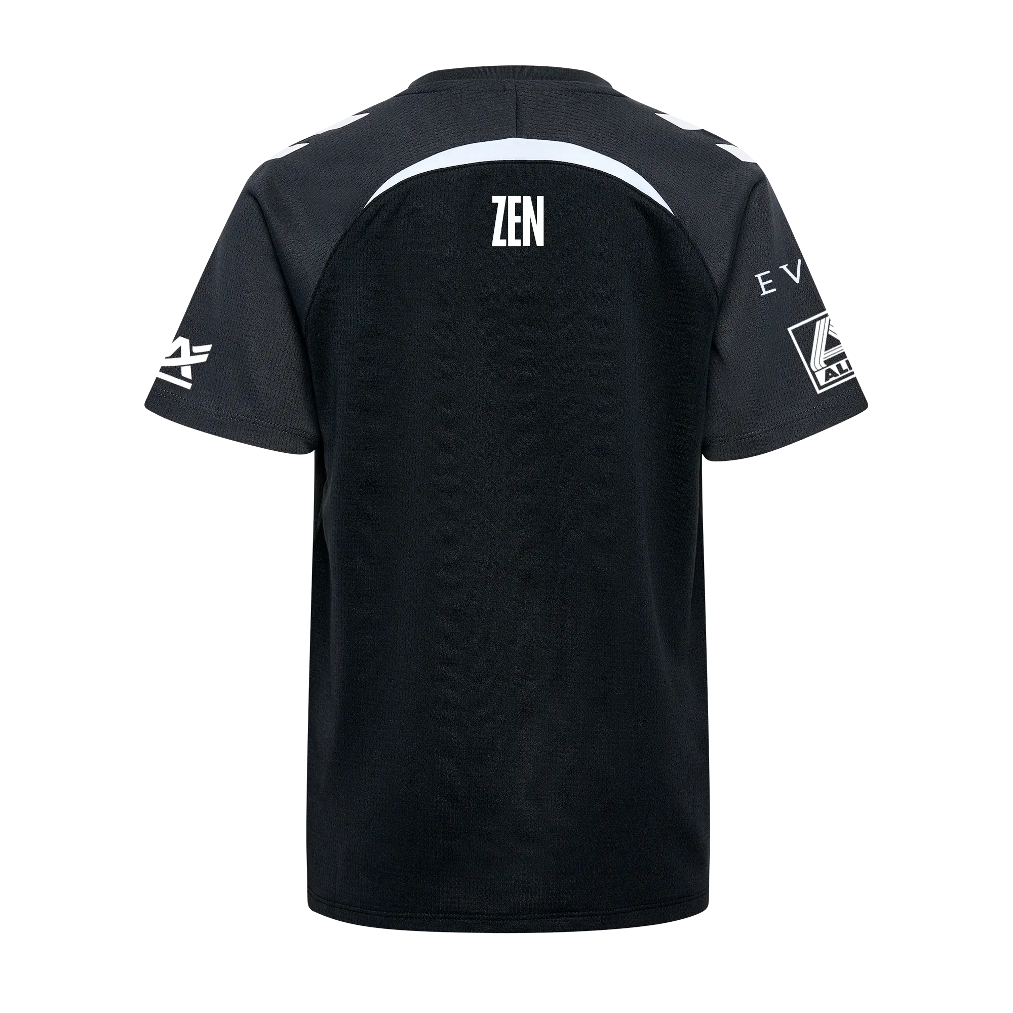 Maillot Pro Vitality 2025 - Zen - Team Vitality