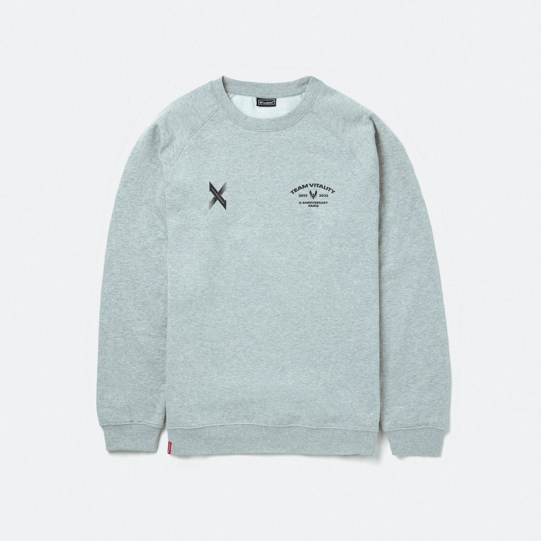 Crewneck hummel 10th Anniversary Team Vitality