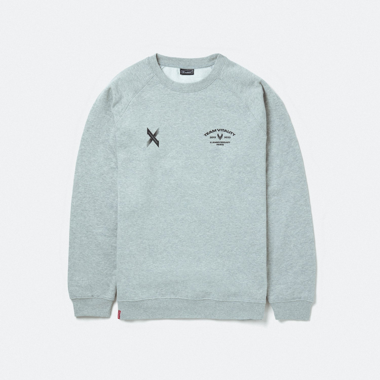 Crewneck hummel 10th Anniversary Team Vitality