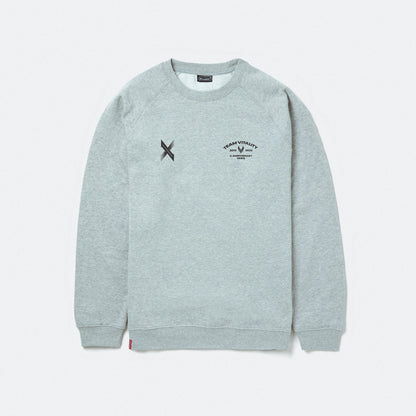 Crewneck hummel 10th Anniversary Team Vitality