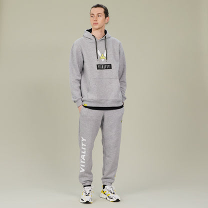 Jogging basic gris Team Vitality