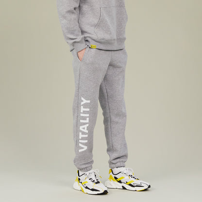 Jogging basic gris Team Vitality
