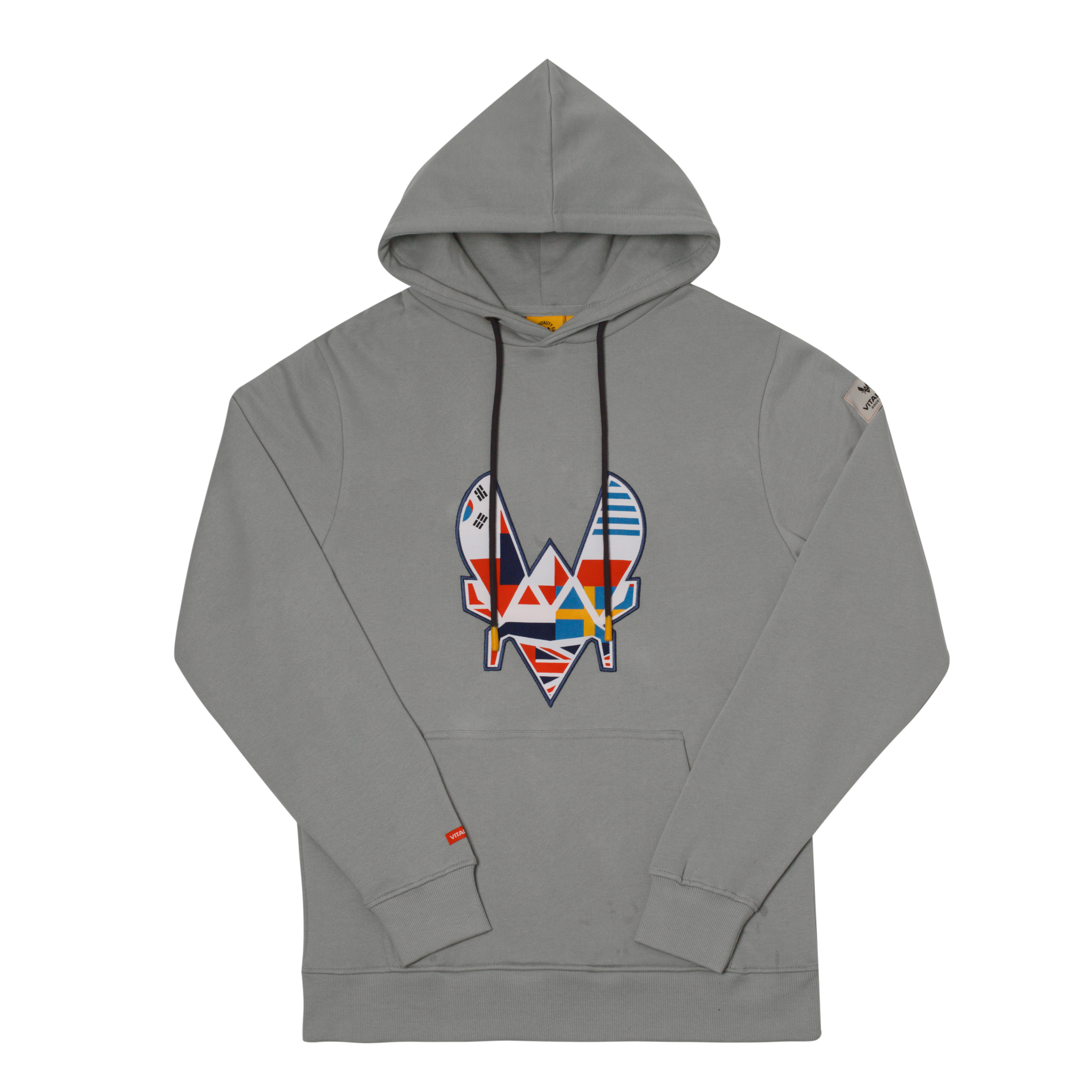 Hoodie World Club gris clair Team Vitality