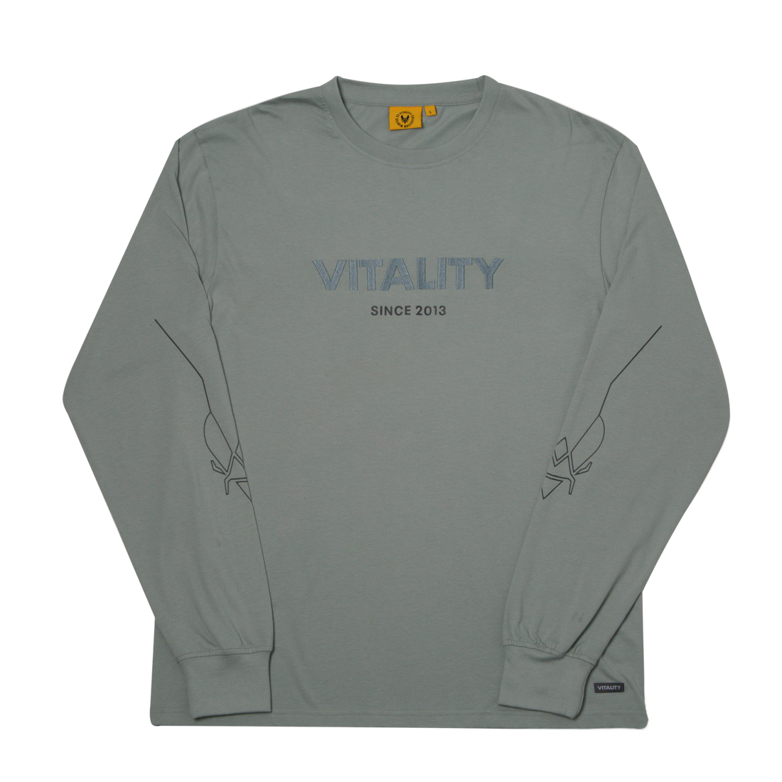 T-shirt à manches longues Energy gris clair Team Vitality
