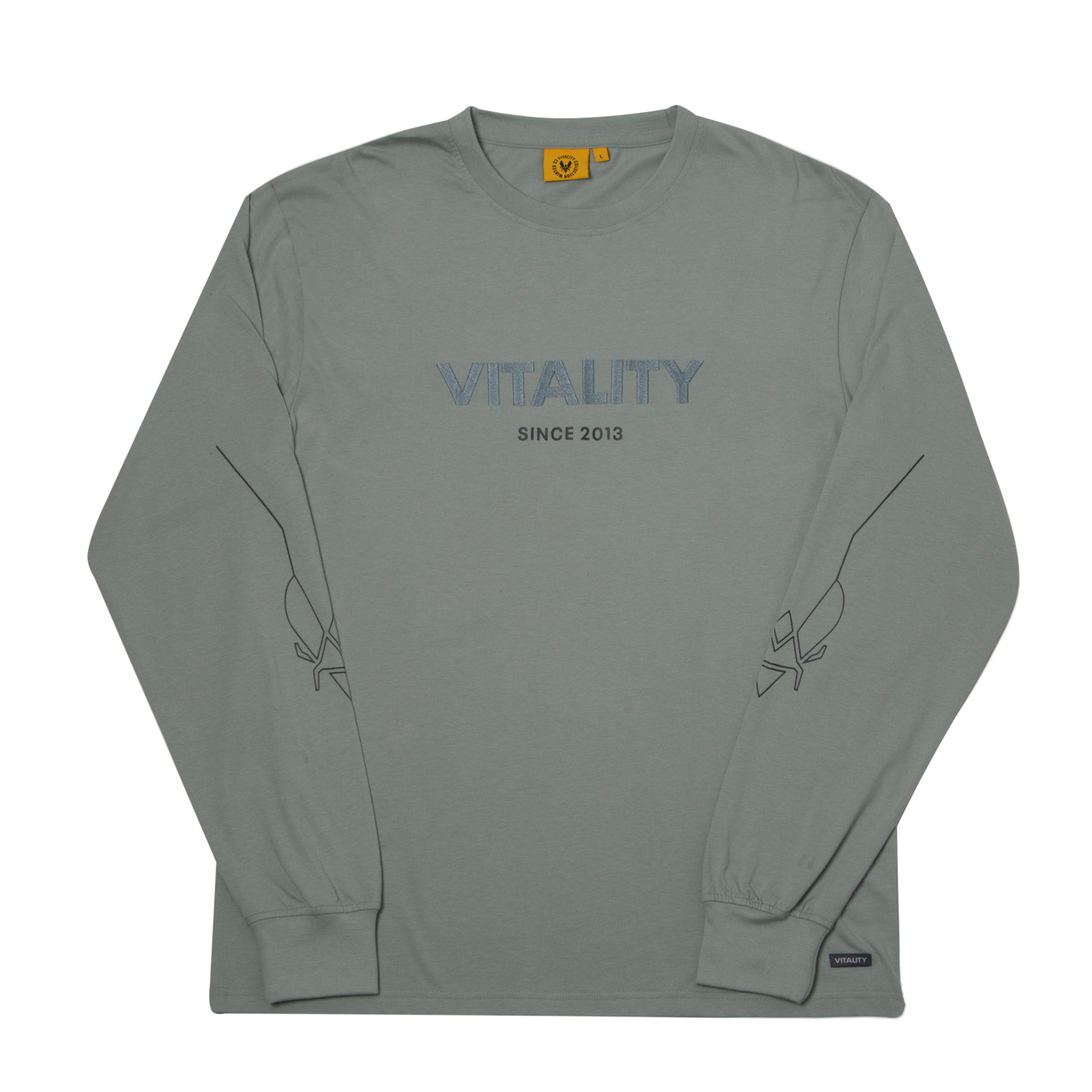 T-shirt à manches longues Energy gris clair Team Vitality