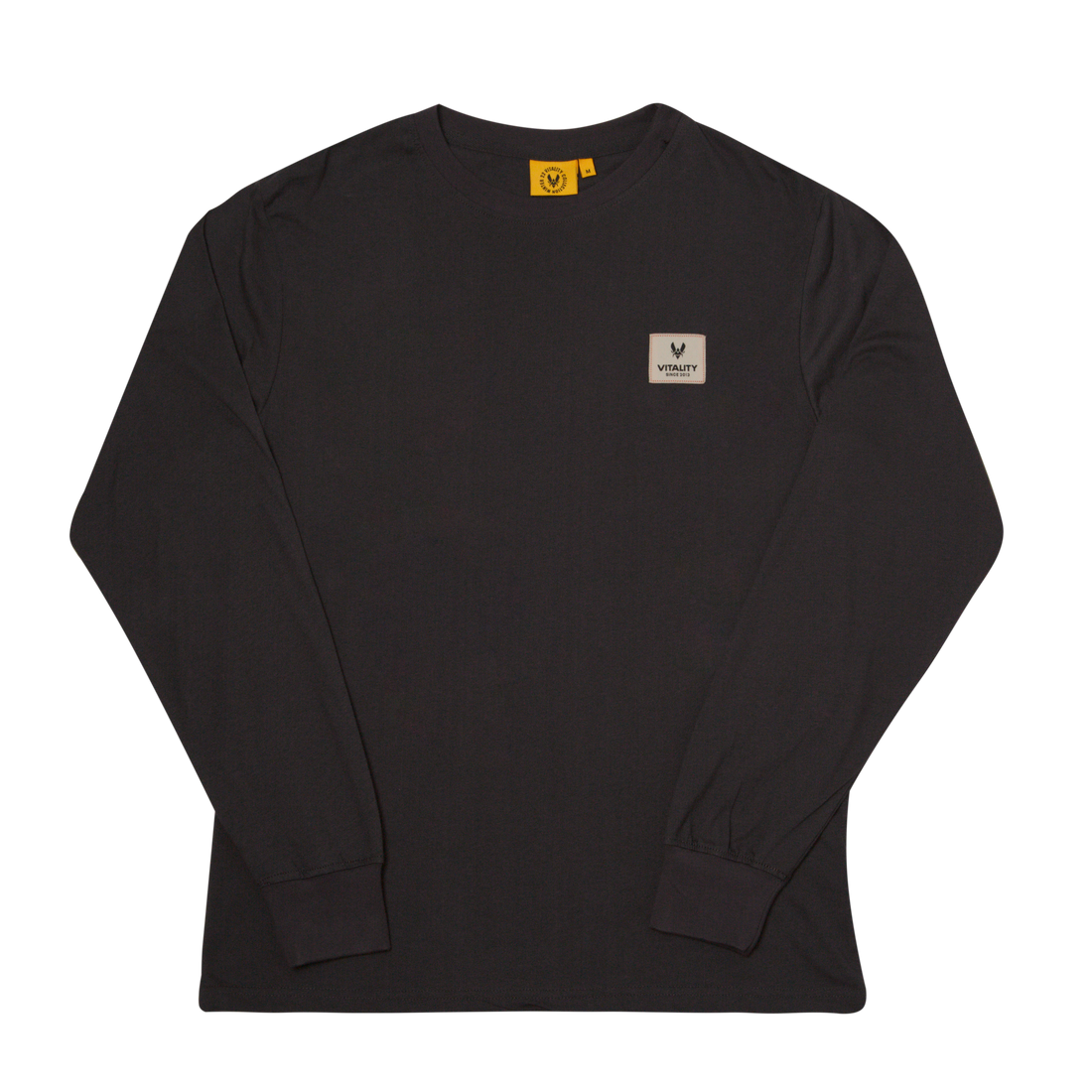 T-shirt à manches longues World Club gris Team Vitality