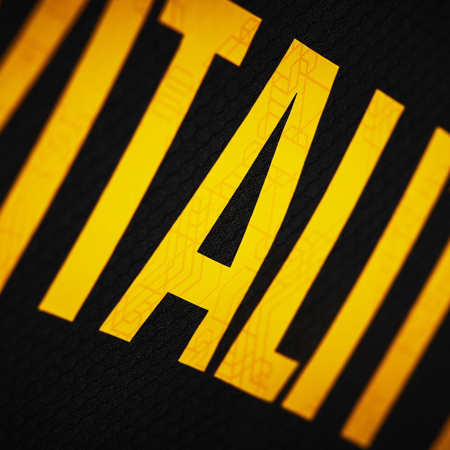 Flocage Team Vitality