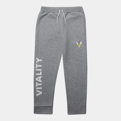 Jogging basic gris Team Vitality