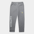 Jogging basic gris Team Vitality