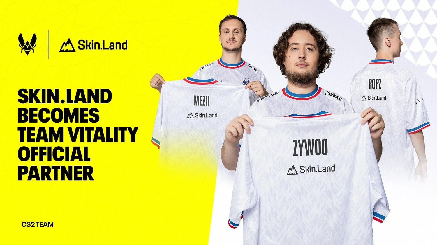 Team-Vitality-accueille-Skin.Land-en-tant-que-partenaire-officiel Team Vitality