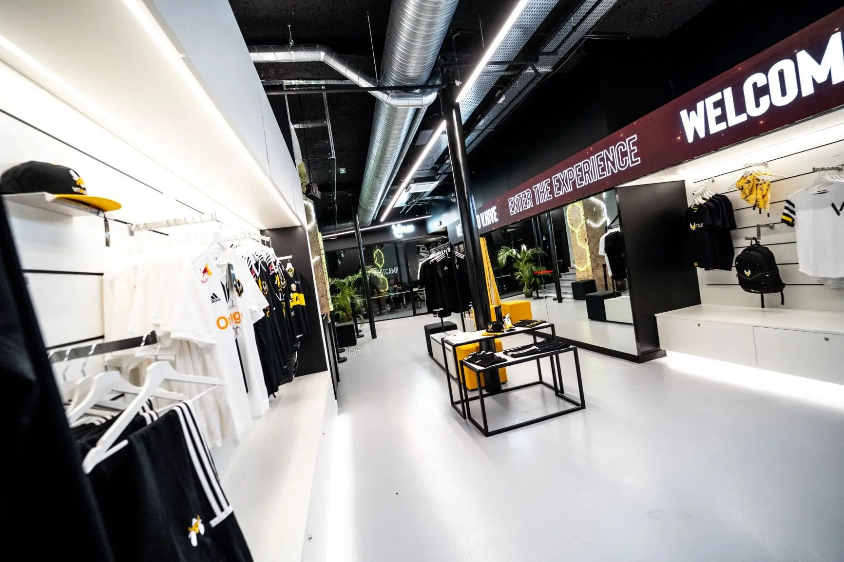 V-Hive : Le cœur de Vitality bat au centre de Paris - Team Vitality