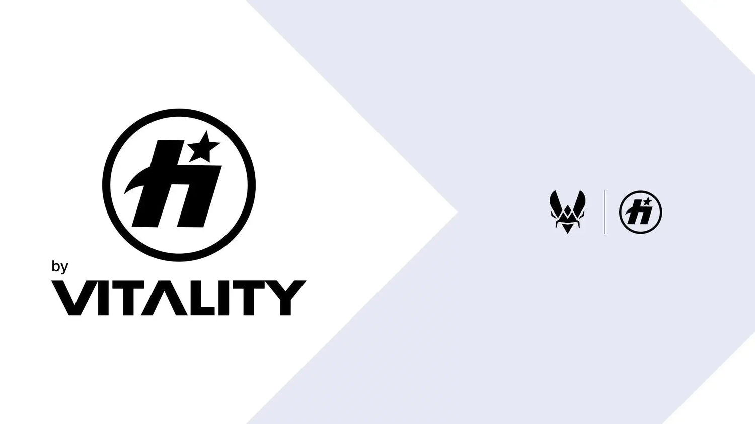 TEAM VITALITY ANNONCE UN PARTENARIAT STRATÉGIQUE AVEC TEAM HAVOK POUR ACCELERER SON DEVELOPPEMENT SUR LE JEU FORTNITE Team Vitality