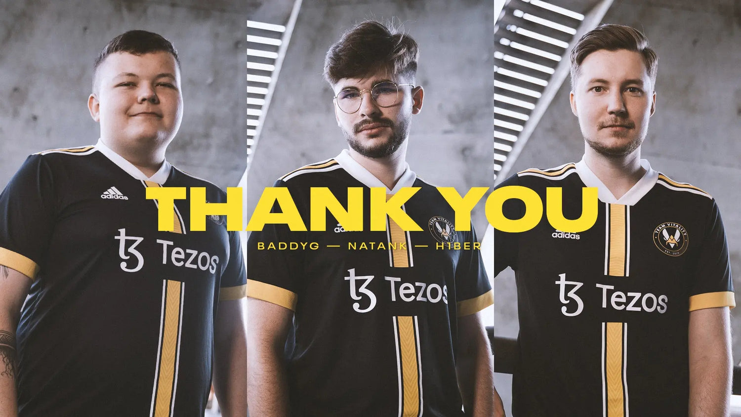 MERCI-NATANK-BADDYG-H1BER Team Vitality