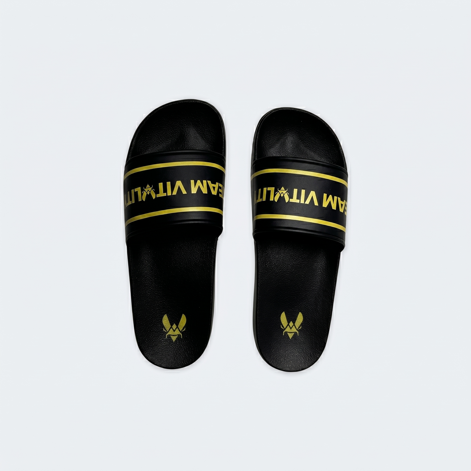 Vitality Fan Pack 2025 Slides