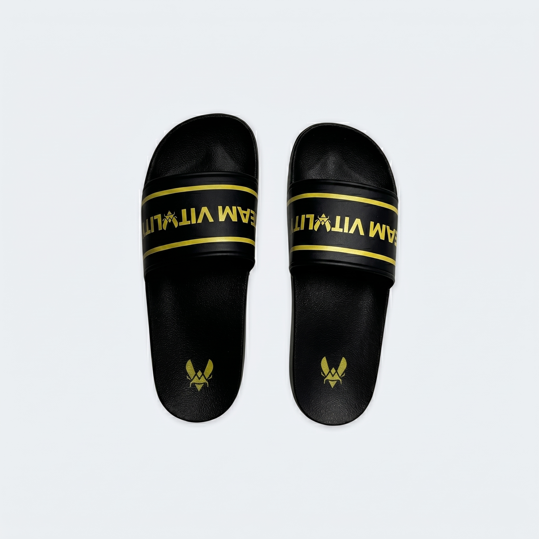 Vitality Fan Pack 2025 Slides