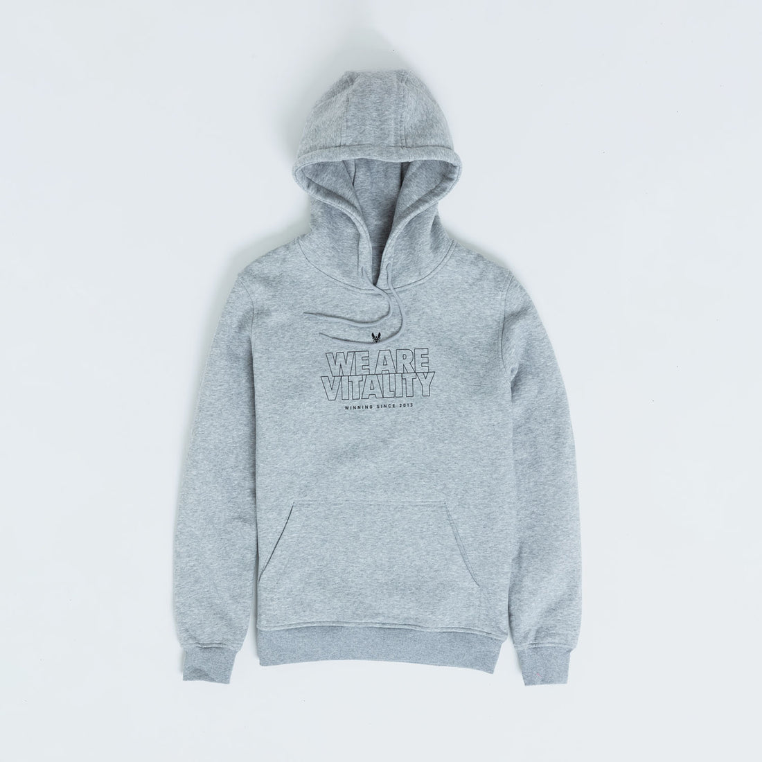 Hoodie Vitality Essentials 2024 gris vue de face