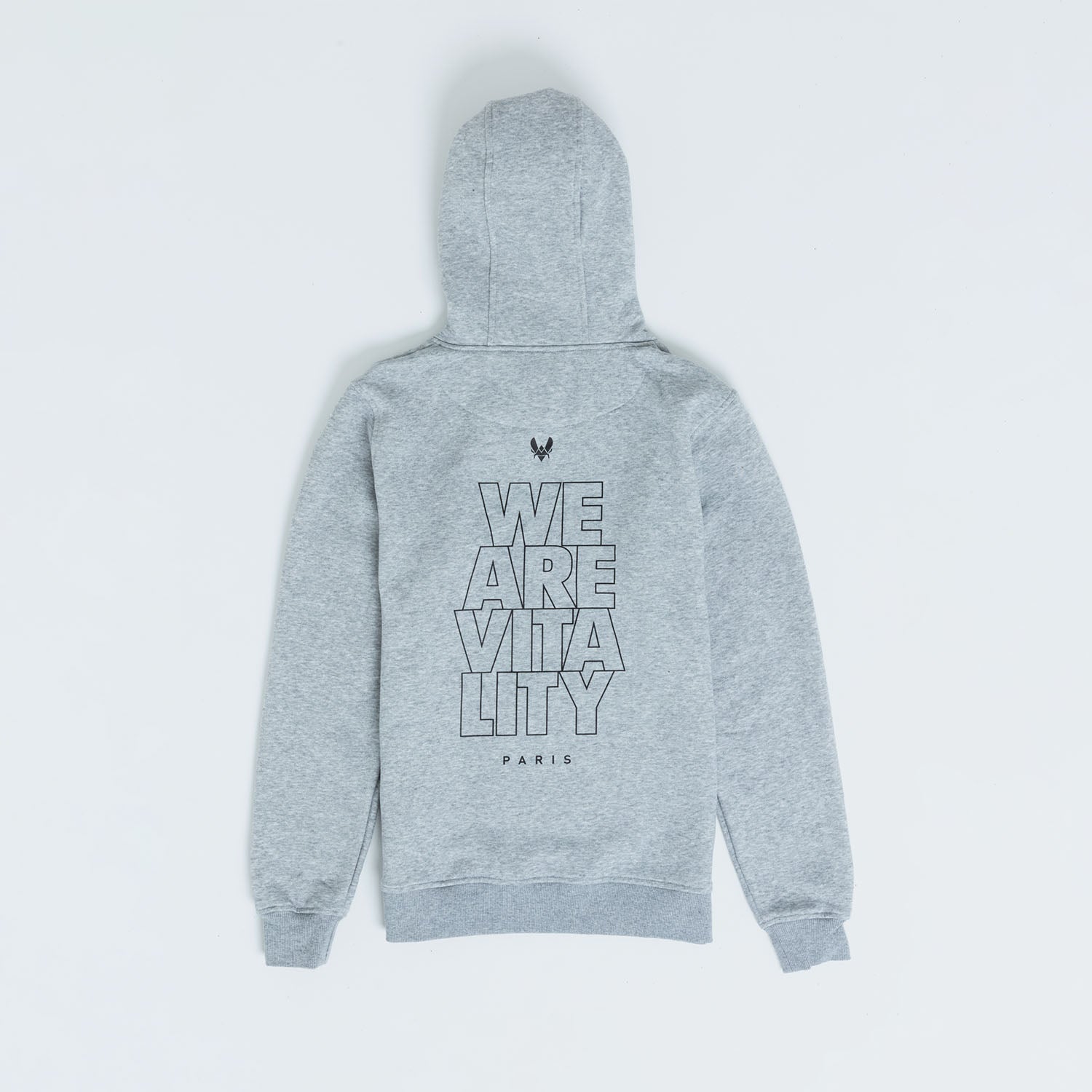 Hoodie Vitality Essentials 2024 gris vue de dos