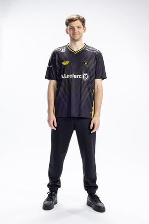 Erikson