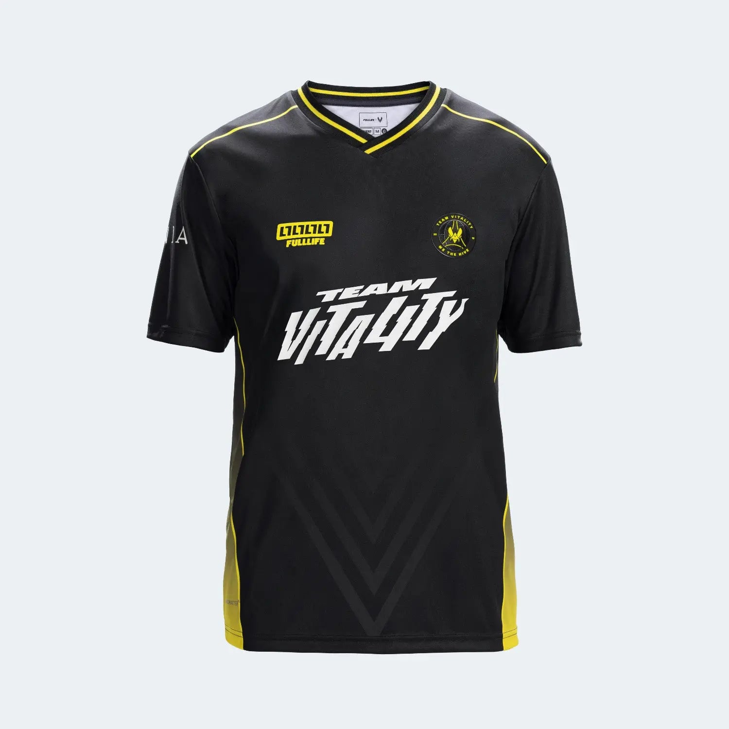 team-vitality 