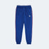 Pantalon Alternate Vitality 2025 packshot