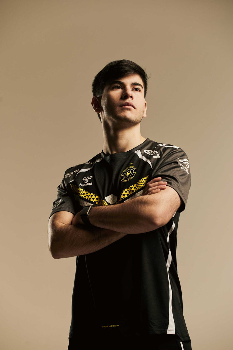 Team Counter Strike 2 – Team Vitality